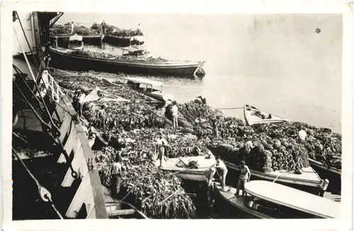 Santos - Transporte de bananas para Exportacao -665628