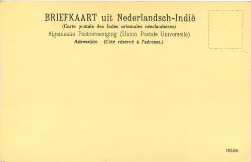Nederlandsch Indie - Weefster -666038