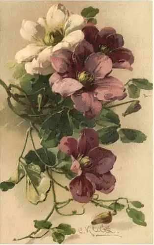 Künstler AK Catherina Klein -666078