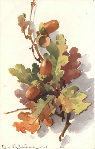 Künstler AK Catherina Klein -666076