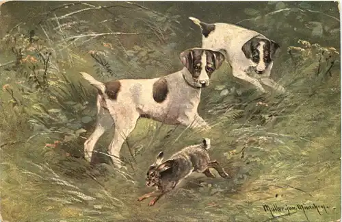 Künstler AK Müller jun- Hunde -666210