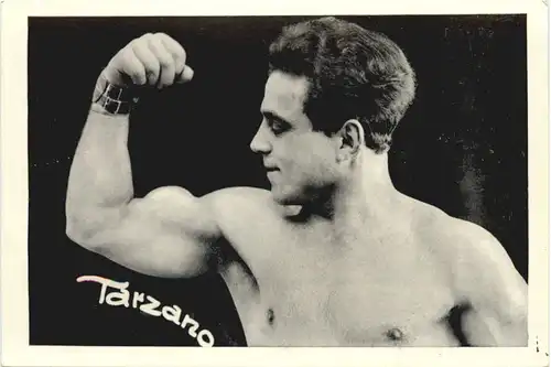 Bodybuilding - Tarzano -668270