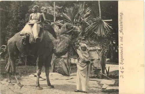 Hagenbecks Indische Ausstellung -669118