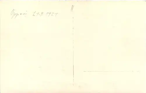 Oppau 1921 - Explosion -669496