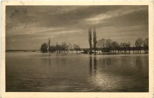 Regnitz bei Erlangen - Überschwemmung -669974