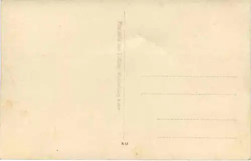 Wasserbug am Inn -669924