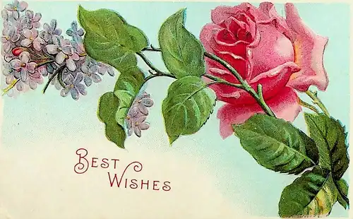 Rose - Best Wishes - Prägekarte -670471