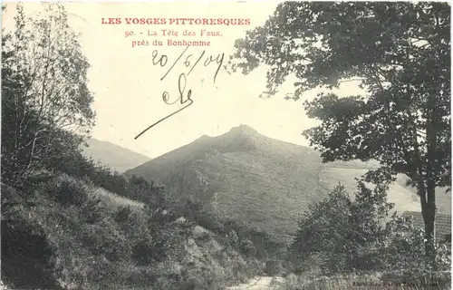 Les Vosges Pittoresques, La Tete des Faux pres du Bonhomme -542926