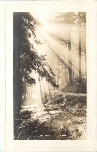 Les Vosges, St. Die -542930