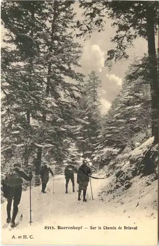 Baerenkopf - Sur le Chemin de Brinval -543276