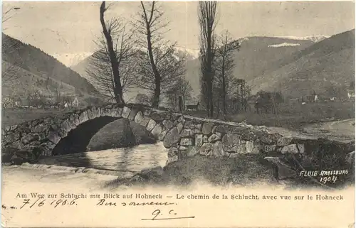 Am Weg zur Schlucht mit Blick auf Hohneck -543778