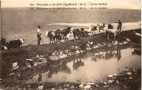 Saleve - Lac de Geneve -543790