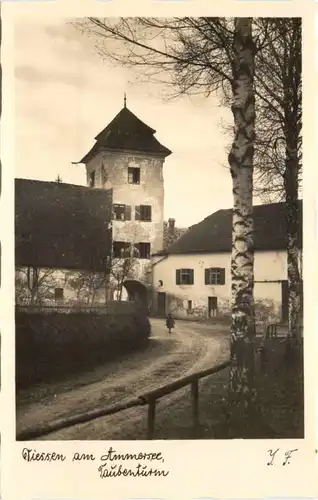 Diessen am Ammersee - Taubenturm -671068