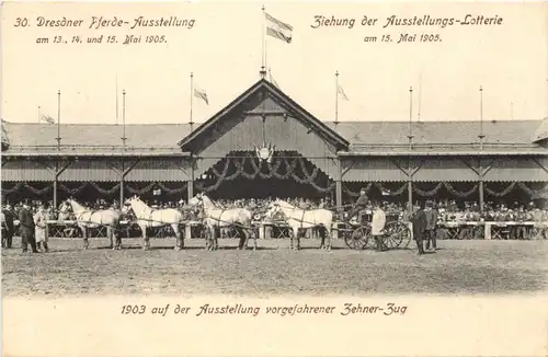 Dresden - 30. Pferde Ausstellung 1905 -672124