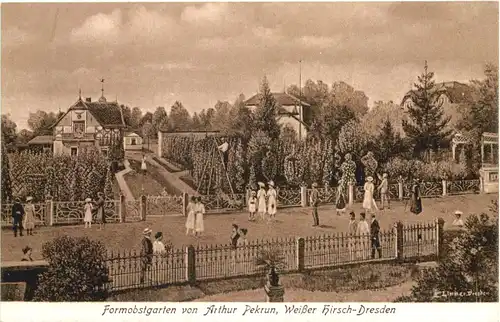 Weisser Hirsch Dresden - Formobstgarten -671988