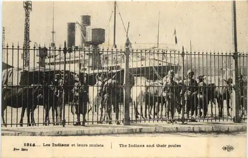 India - The Indians and their mules -672430