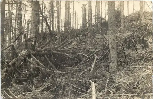 WW1 Zerstörungen -672868