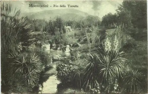 Montecatini - Rio della Toretta -673006