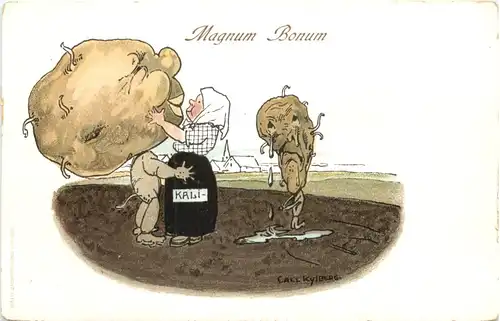 Kartoffeln - Magnum Bonum - Litho -673918