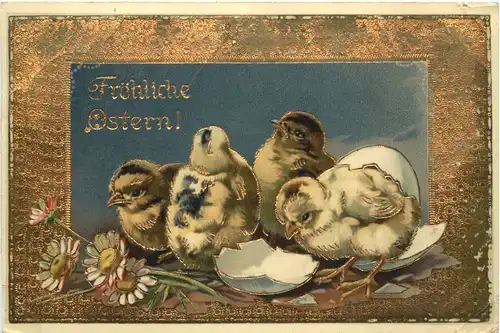 Ostern - Kücken -674610
