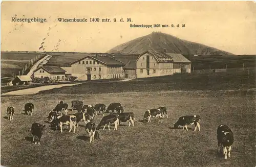 Wiesenbaude - Riesengebirge -674716