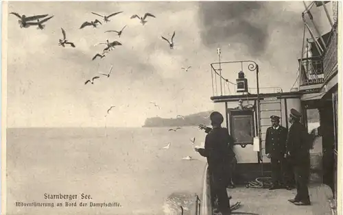 Starnberger See, Mövenfütterung an Bord der Dampfschiffe -545894