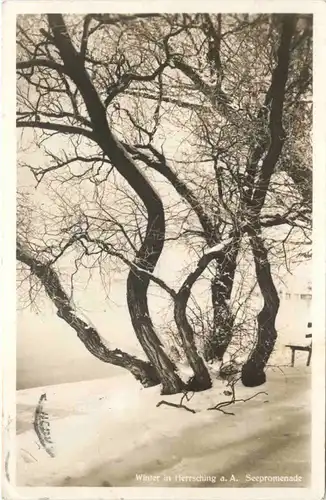 Herrsching am Ammersee, Winter, Seepromenade -546238