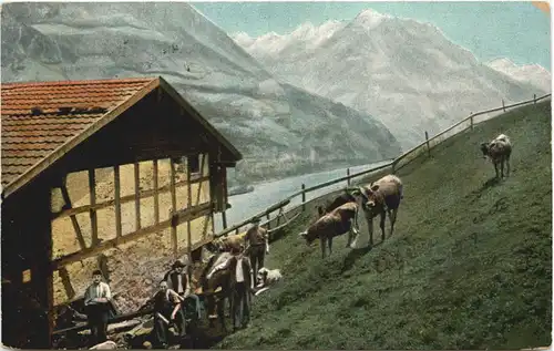 Auf der Alp gelaufen in Breslau -675398