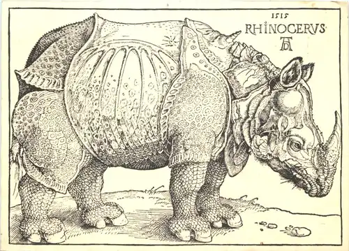 Rhinocerus -675310