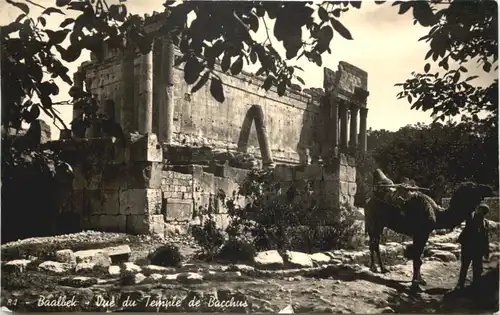 Baalbek - Temple de Bacchus -675422
