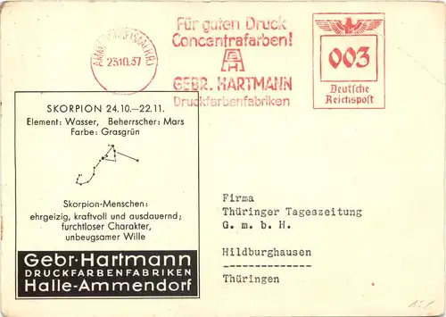 Sternzeichen Skorpion - Halle-Ammendorf -677218