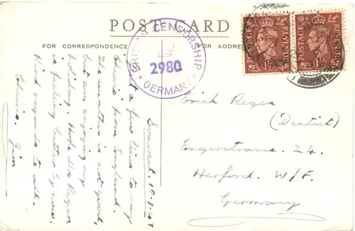 Wells - Swans ringing for food at Bishops Palace -678282