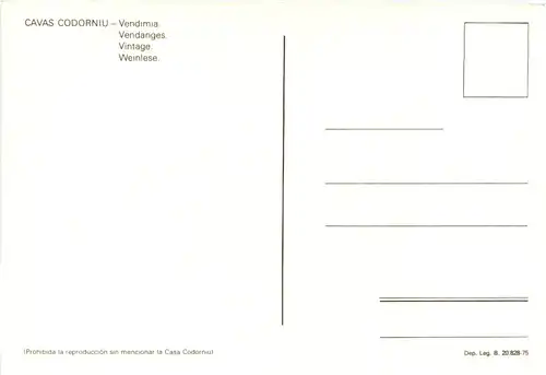 Cavas Codorniu - Wein -678820