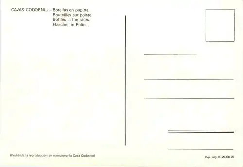 Cavas Codorniu - Weinkeller -678816