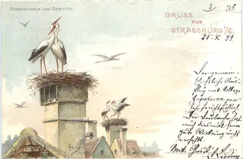 Gruss aus Strassburg - Storch - Litho -679644