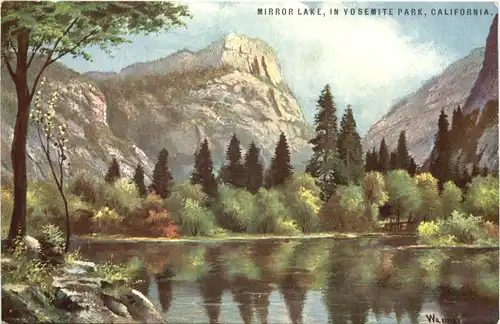 California - Yosemite Park - Künstler Ak Werner -679772
