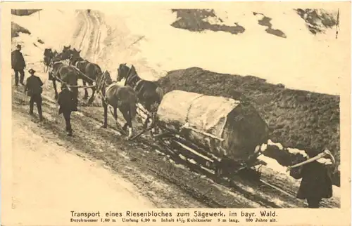 Bayerischer Wald - Transport eines Riesenbloches zum Sägewerk -680002