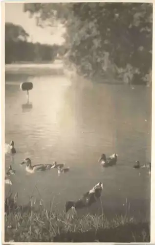 München - Tierpark Hellabrunn -680782