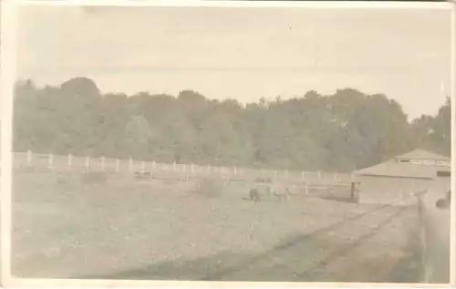 München - Tierpark Hellabrunn -680792