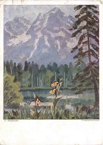 Künstler Ak E. Stegmann - Frauenschuh -680812