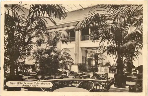 Kobenhavn - Hotel d Angleterre Palmehaven -681068