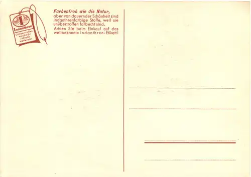Werbung Indanthren -681484
