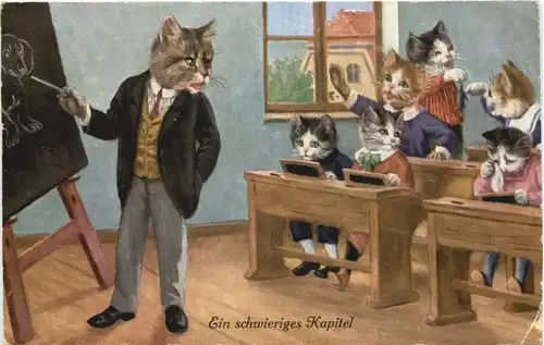 Katzen in Kleidern - Ein schwieriges Kapitel -681116