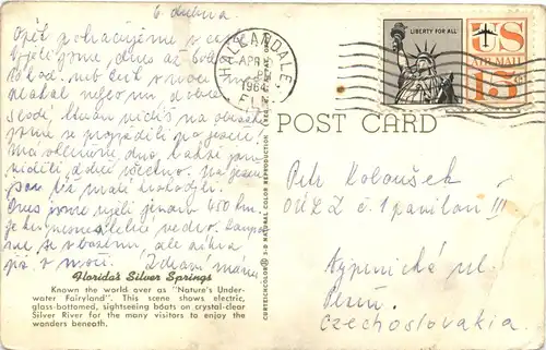 Florida Silver Springs -681892