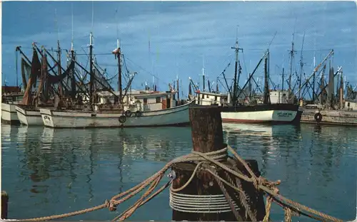 Florida - The Shrimp fleet -682306