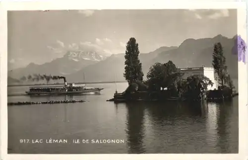 Lac Leman - Ile de Salognon -682556
