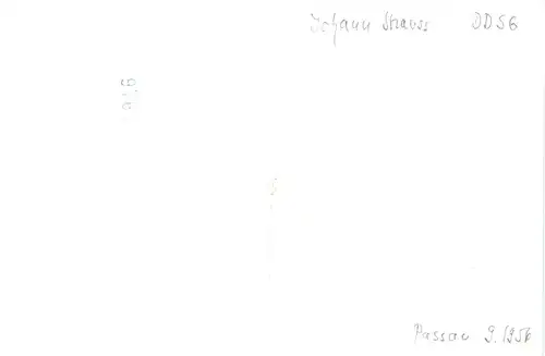 Passau - Dampfer Johann Strauss -682912