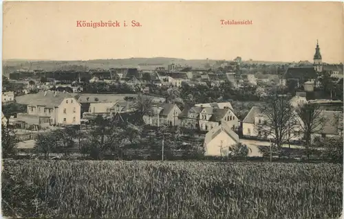 Königsbrück in Sachsen -683822