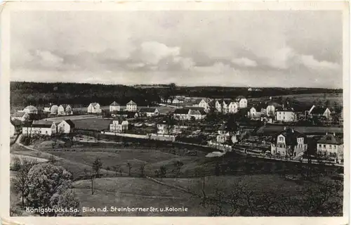 Königsbrück - Blick nach der Steinborner Strasse -683990