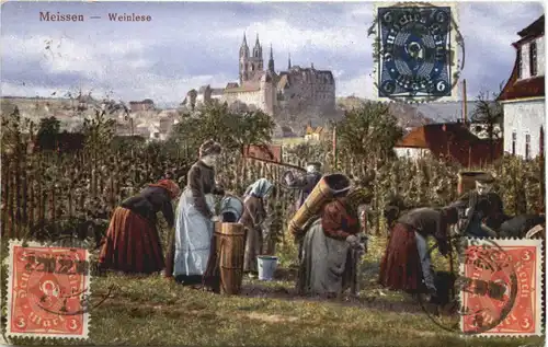 Meissen - Weinlese -684256